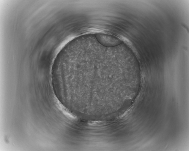 X0000101481427200808041118