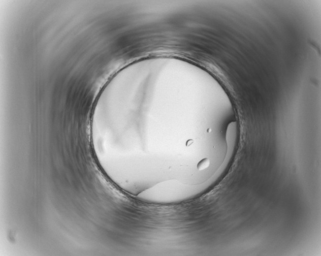 X0000101481428200808041118