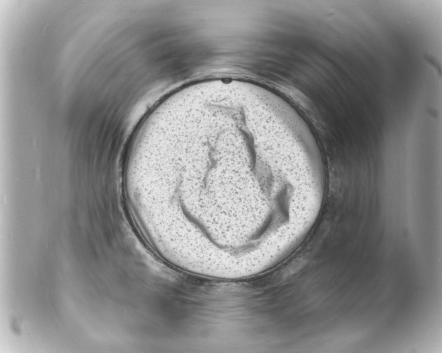 X0000101481430200808041118