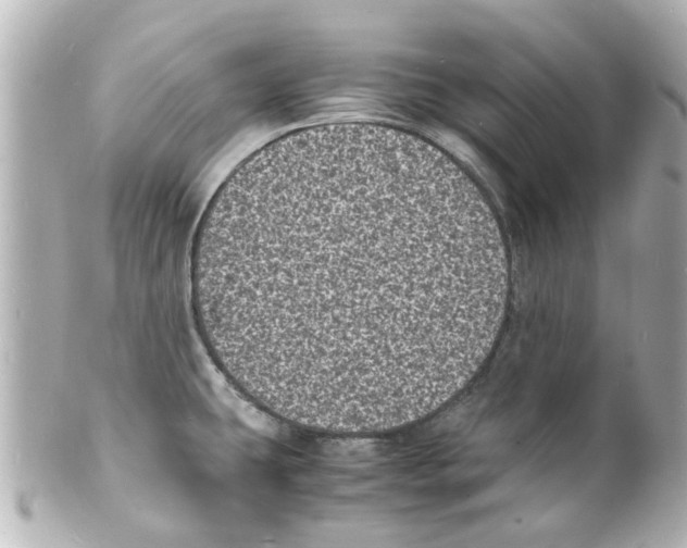 X0000101481431200808041118