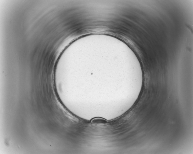 X0000101481432200808041118