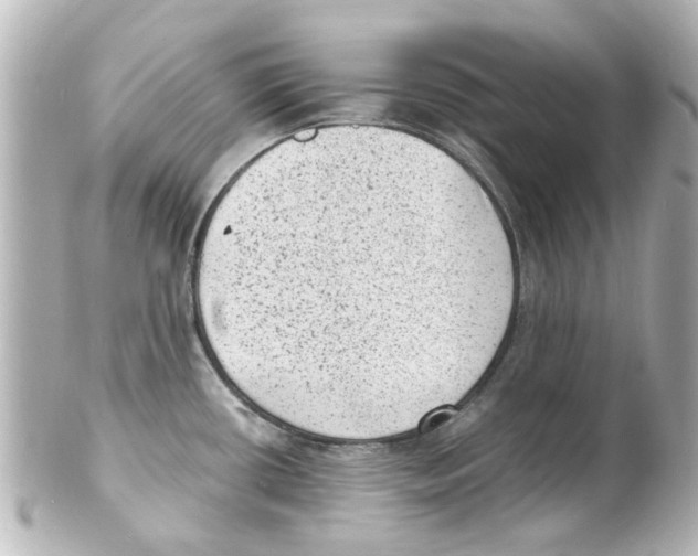 X0000101481434200808041118