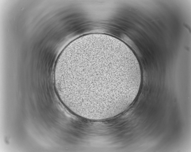 X0000101481436200808041118