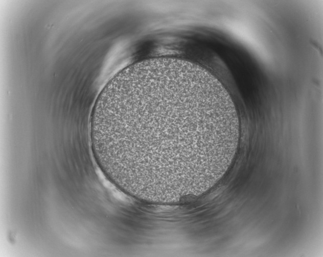 X0000101481439200808041118