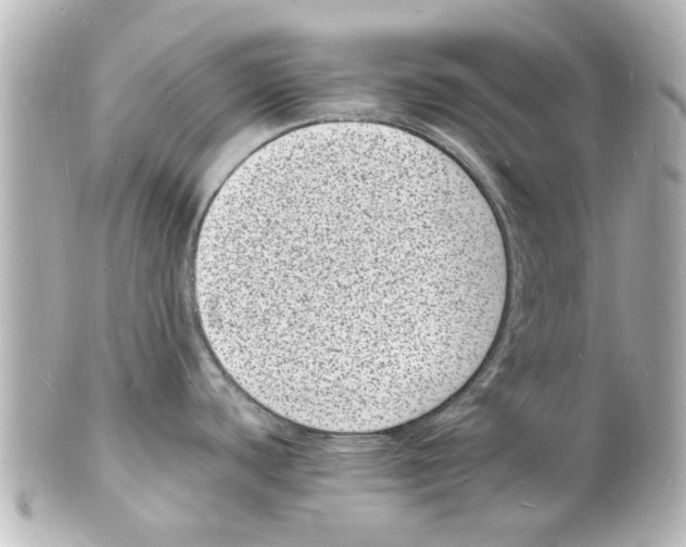 X0000101481440200808041118