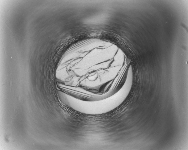 X0000101481441200808041118