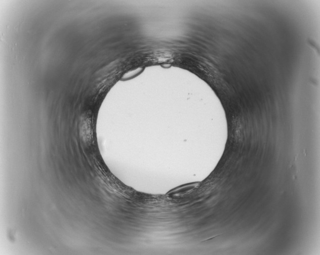 X0000101481442200808041117