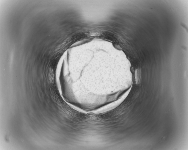 X0000101481443200808041117