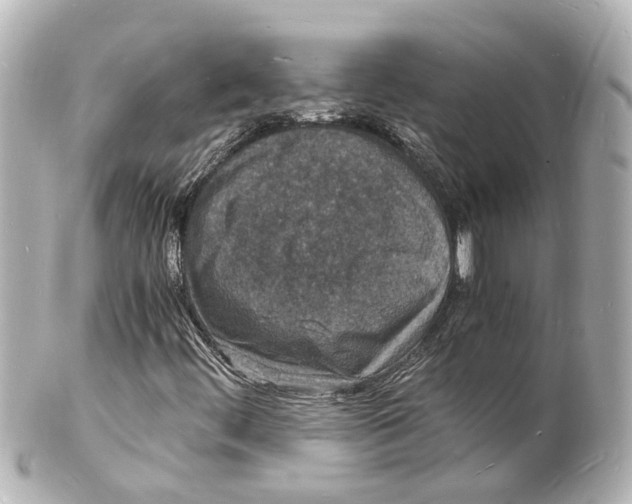 X0000101481444200808041117