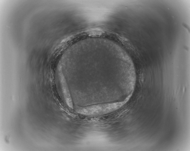 X0000101481445200808041117