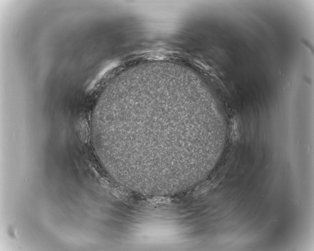 X0000101481446200808041117