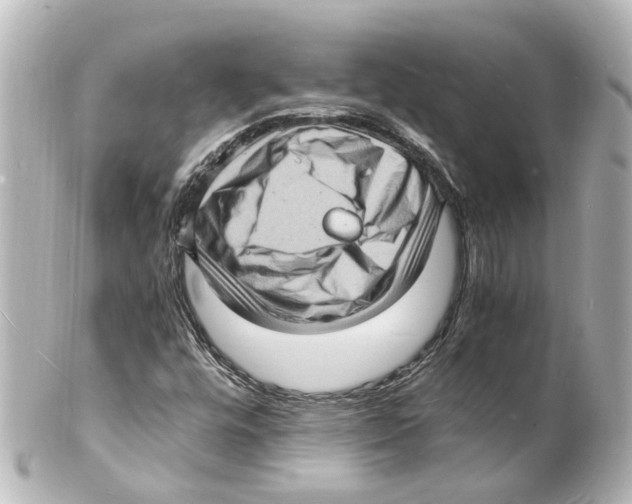 X0000101481448200808041117