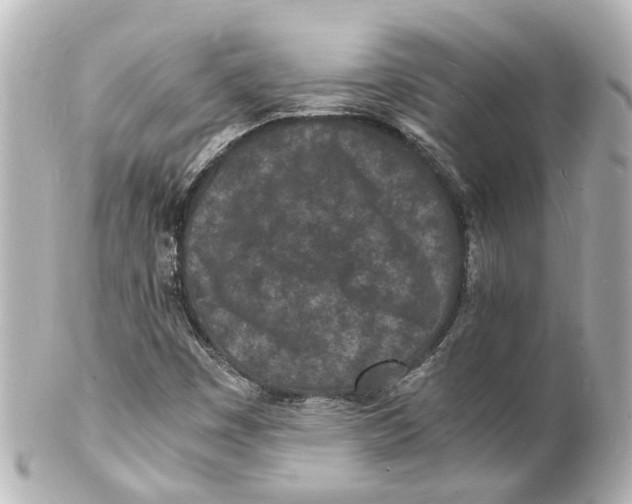 X0000101481449200808041117