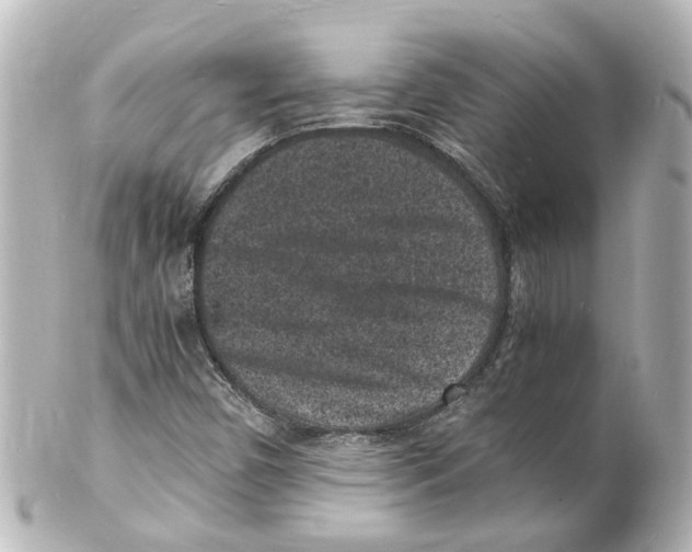 X0000101481450200808041117