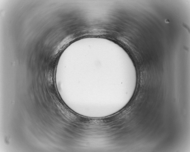 X0000101481451200808041117