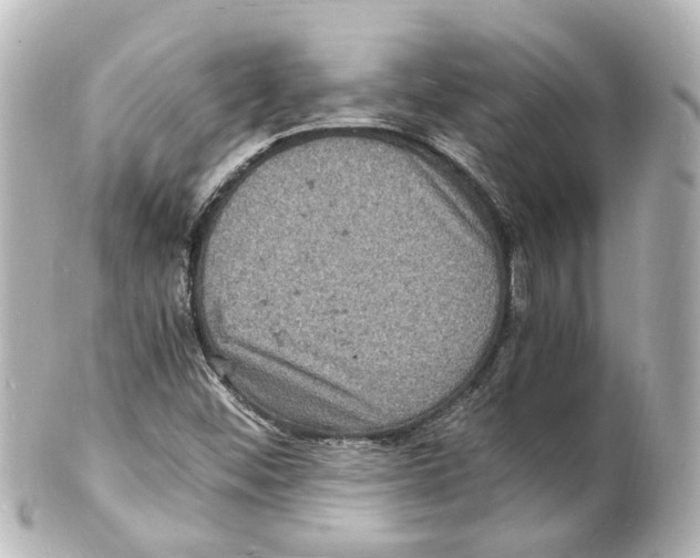 X0000101481452200808041117