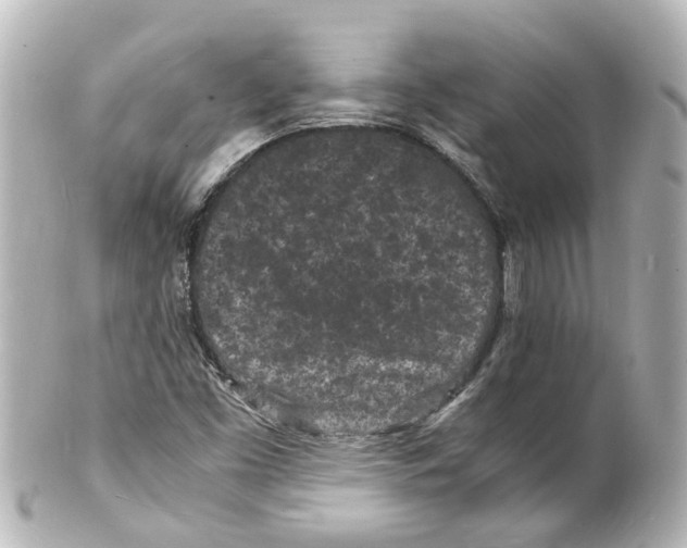 X0000101481453200808041117