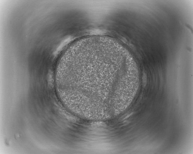 X0000101481454200808041117