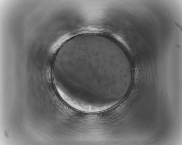 X0000101481455200808041117