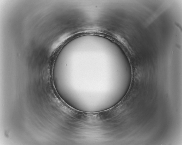 X0000101481456200808041117