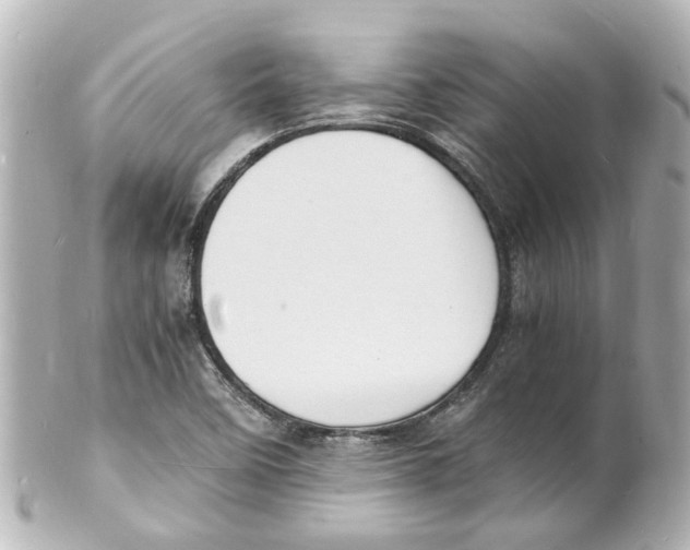 X0000101481458200808041117