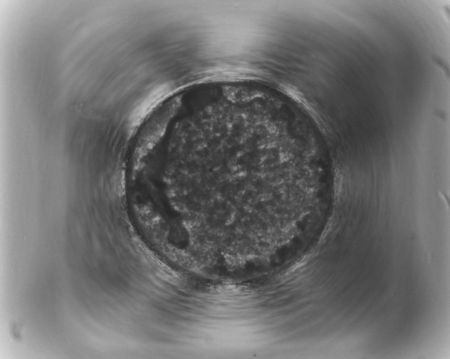 X0000101481459200808041117