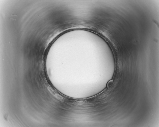 X0000101481460200808041117