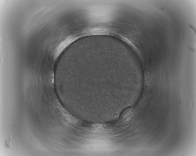 X0000101481461200808041117