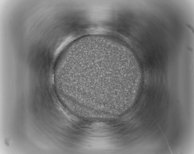 X0000101481462200808041117