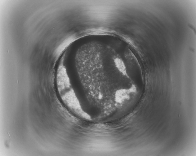 X0000101481463200808041117