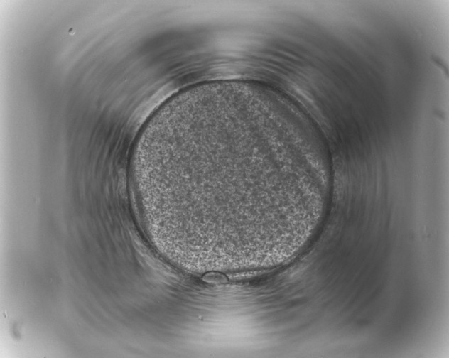 X0000101481465200808041117