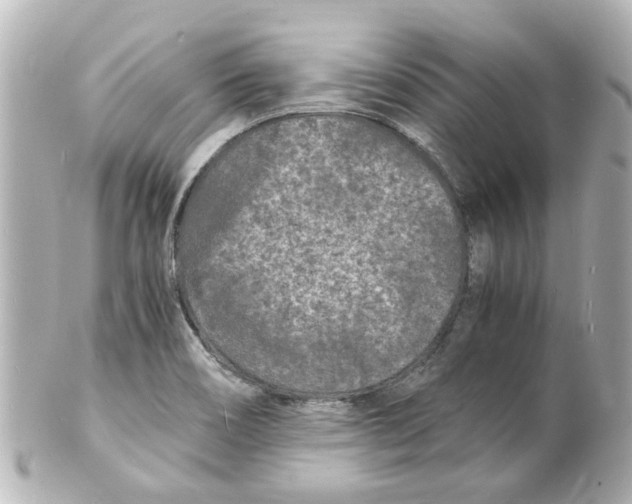 X0000101481466200808041117