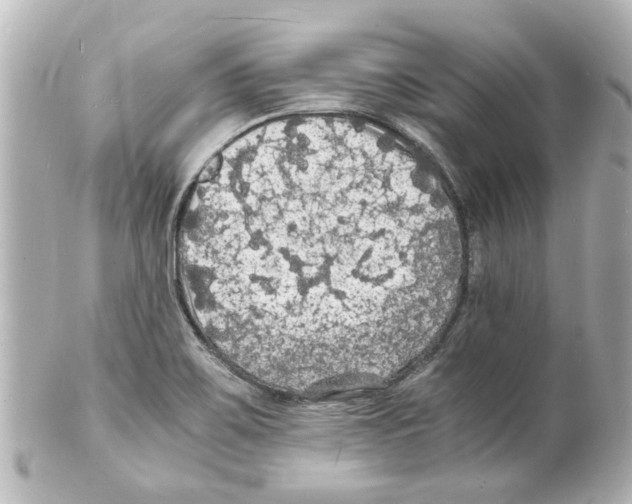 X0000101481467200808041117