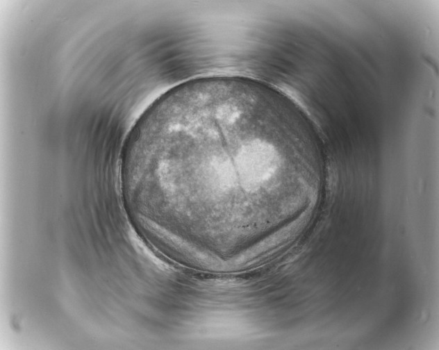 X0000101481468200808041117