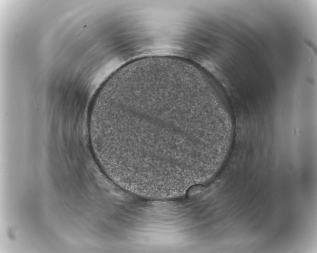 X0000101481469200808041117