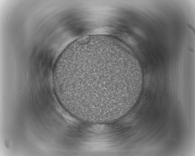 X0000101481470200808041117