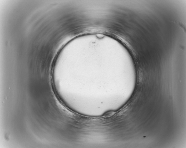 X0000101481471200808041117