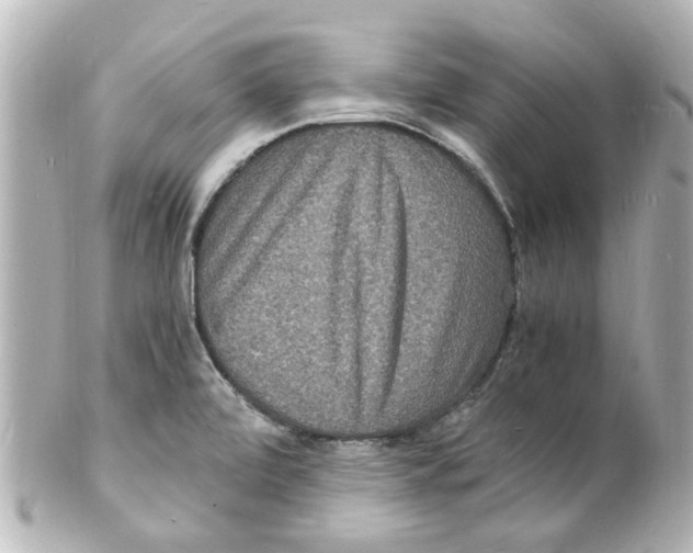 X0000101481472200808041117