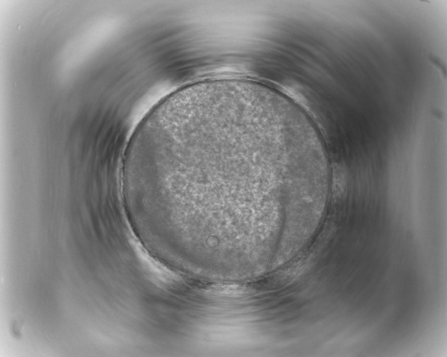 X0000101481474200808041117