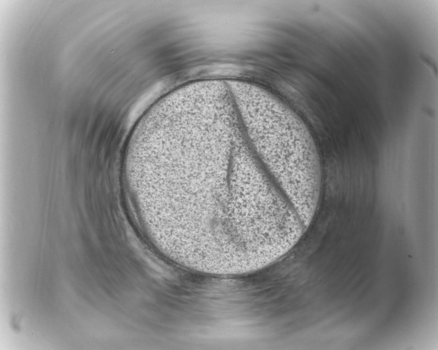 X0000101481475200808041117