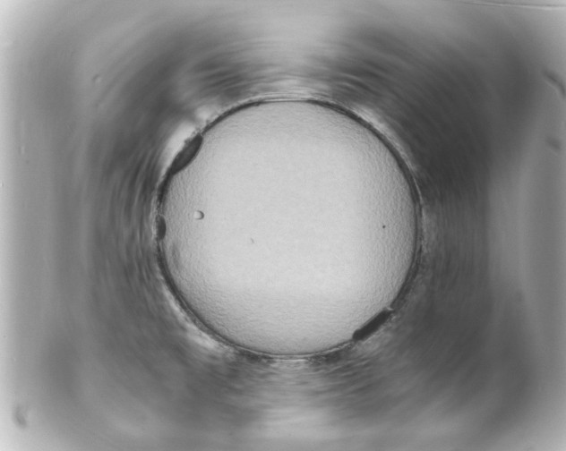 X0000101481477200808041117