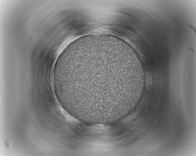 X0000101481478200808041117