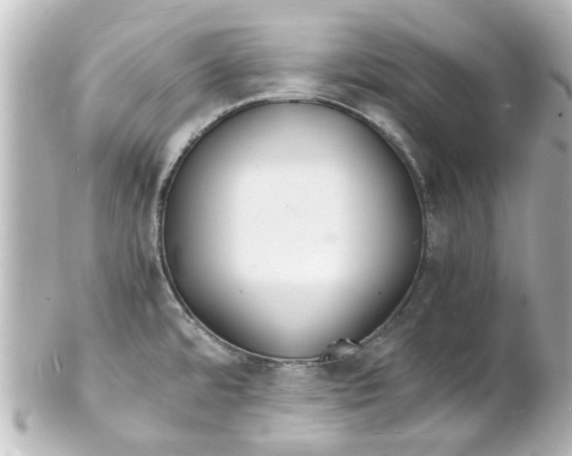 X0000101481480200808041117