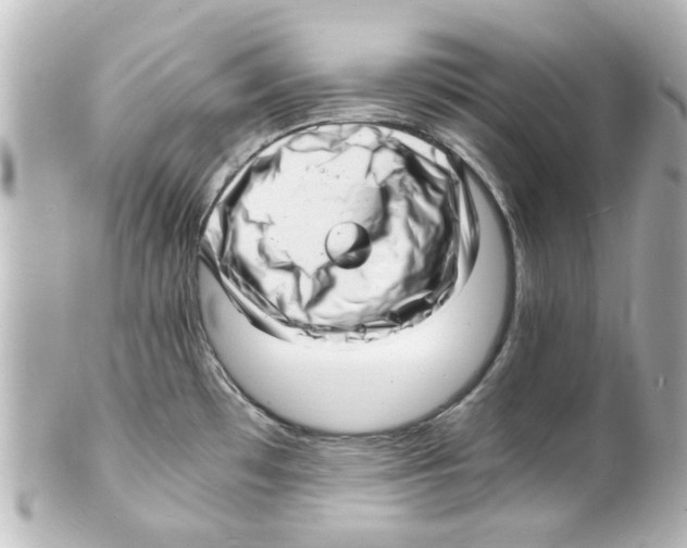 X0000101481481200808041117