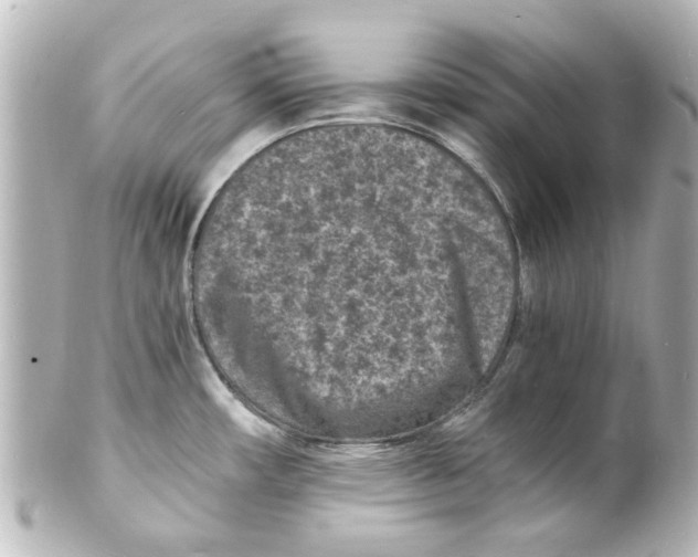 X0000101481482200808041117