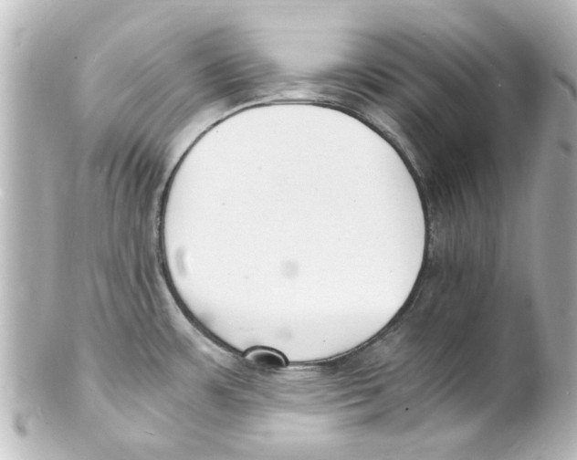 X0000101481483200808041117