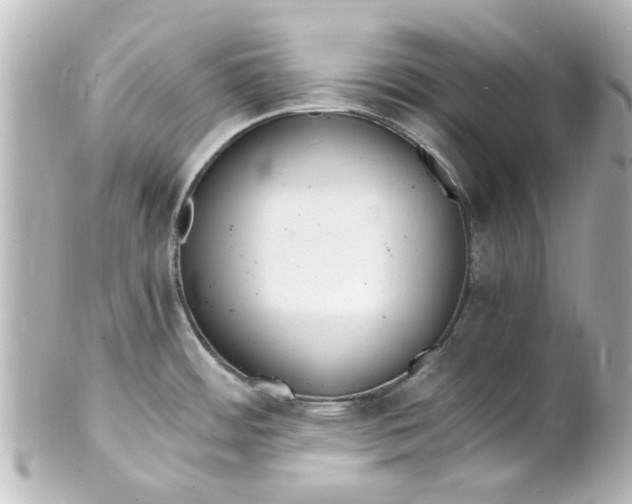 X0000101481484200808041117