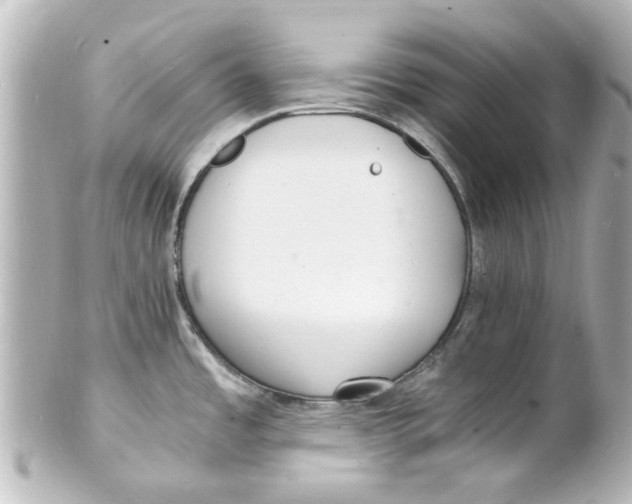 X0000101481485200808041117