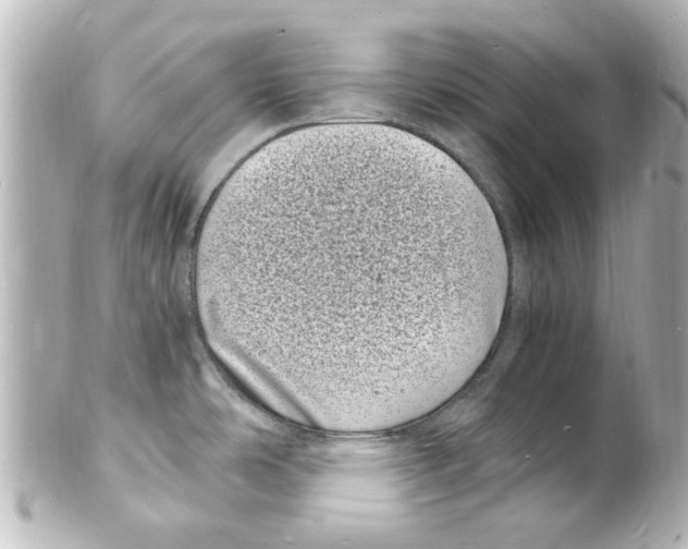 X0000101481486200808041117