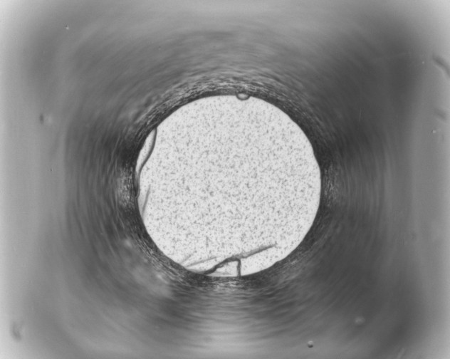 X0000101481490200808041116